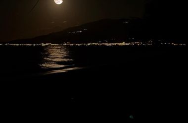 167483879 5160148070722417 338692570424254300 n