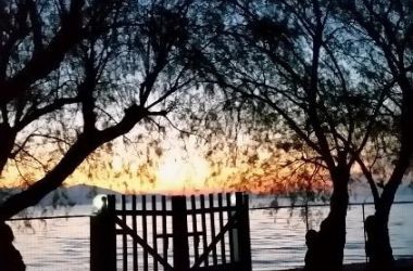 20170329 065111 38 800 600 80 r90