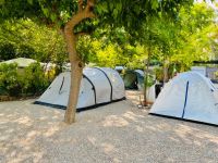 204484732 5557145981022622 2280434070092591385 n