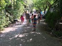 IMG 2045 40 800 600 80