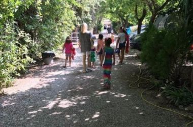 IMG 2045 40 800 600 80