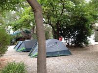 IMG 2559 30 800 600 80