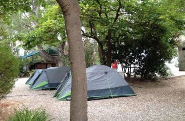 IMG 2559 30 800 600 80