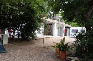 IMG 2561 31 800 600 80